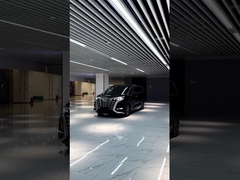 Denza D9 EV 7 Seat 620km 600km 2wd 4x4 سرعت بالا