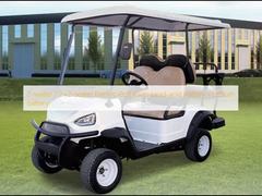 اتومبیل‌های گلف برقی 2 نفره / 2+2 نفره باتری اسید سرب / باتری لیتیومی
